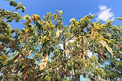 《龙腾世纪》击败《星战绝地》成EA在Steam首发在线最高单人游戏